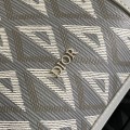 「#2031」dior   1ADBR088CDP  grey  35 x 27 x 6cm