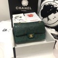 「#10102」Chanel South African python leather custom model with full deerskin lining 01112 25.5*7*16CM