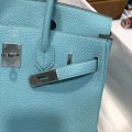 「#4131」 Hermès Macaron Silver Buckle Birkin Bag 30cm