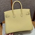 「#4138」 Hermès Chicken Gold Buckle Birkin Bag 25cm