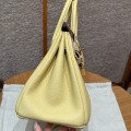 「#4138」 Hermès Chicken Gold Buckle Birkin Bag 25cm
