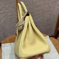 「#4138」 Hermès Chicken Gold Buckle Birkin Bag 25cm