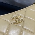「#10193」Chanel 23C Moon Bag AS4067 21*14cm