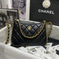 「#10194」Chanel 23C Moon Bag AS4067 21*14cm