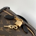 「#0328」Louis Vuitton  vanity   M45165