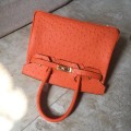 「#4153」 Hermès Orange Ostrich Gold Buckle Birkin Bag 30cm 「#4153」 Hermès Orange Ostrich Gold Buckle Birkin Bag 30cm