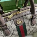 「#3651」GUCCI Ophidia 772061 17.5x 26.5x 14
