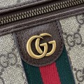 「#3715」GUCCI Ophidia 811489 25x 17.5x 15