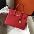 「#4165」 Hermès Red Gold Buckle Mini Birkin Bag 20cm