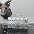 「#2173」 dior 1128 Matte Silver 21×11.5×4.5cm