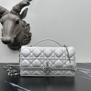 「#2173」 dior 1128 Matte Silver 21×11.5×4.5cm 