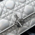 「#2173」 dior 1128 Matte Silver 21×11.5×4.5cm