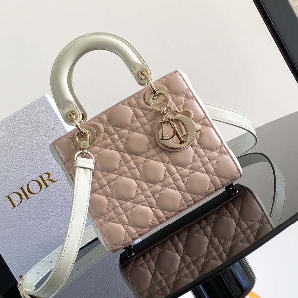 「#2019」dior M0538   Morandi powder   20 x 17 x 8 （cm）